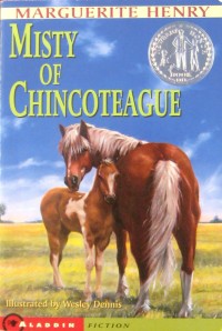 Misty of chincoteague